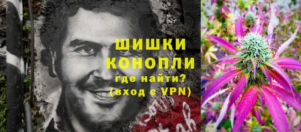 ПСИЛОЦИБИНОВЫЕ ГРИБЫ Снежинск