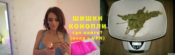 дмт Алзамай