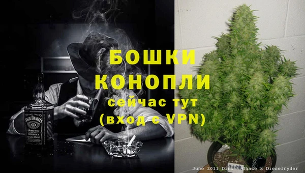 ПСИЛОЦИБИНОВЫЕ ГРИБЫ Снежинск