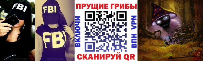 купить наркотик  Аргун  Галлюциногенные грибы мицелий 